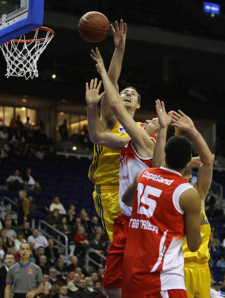 威尔托德 威尔托德