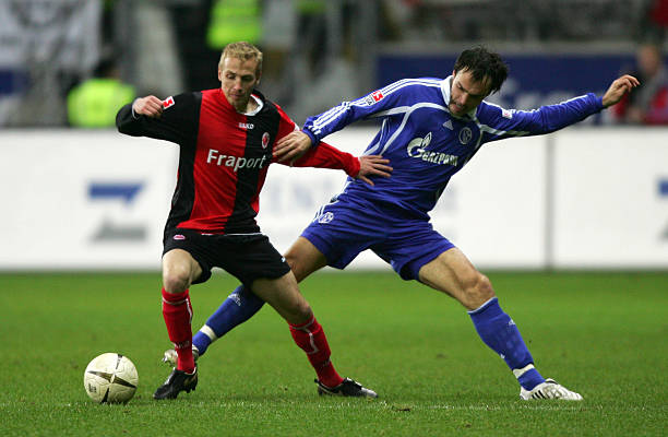 辽宁队不仅 辽宁队不仅